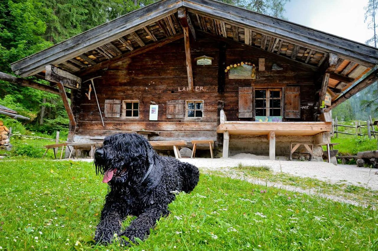 Pension Greti Schönau am Königssee Exteriör bild